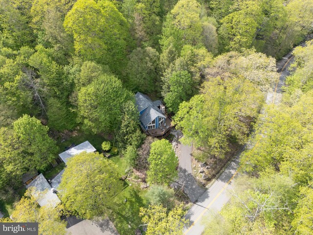 2119 Rock Lodge Rd, Mc Henry, MD 21541 - view from above of property with a forest