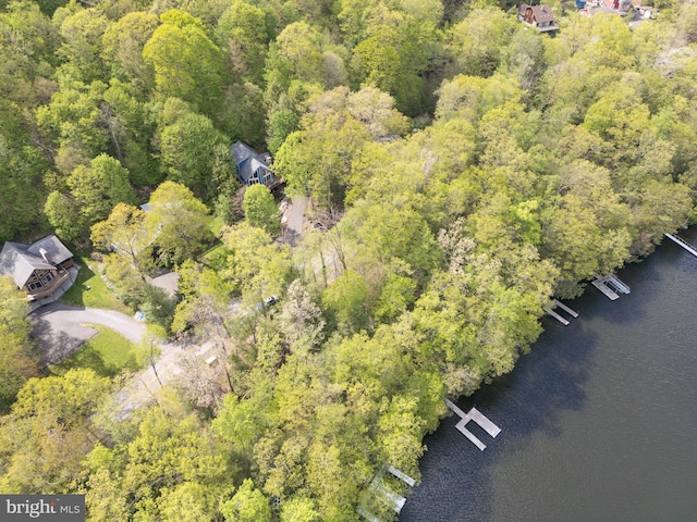 2119 Rock Lodge Rd, Mc Henry, MD 21541 - aerial view of property's location featuring a large body of water and a forest