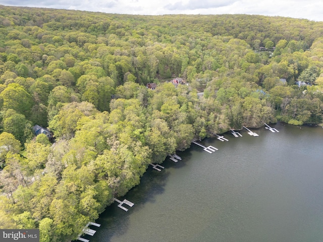 2119 Rock Lodge Rd, Mc Henry, MD 21541 - aerial view of property and surrounding area with a forest and a nearby body of water
