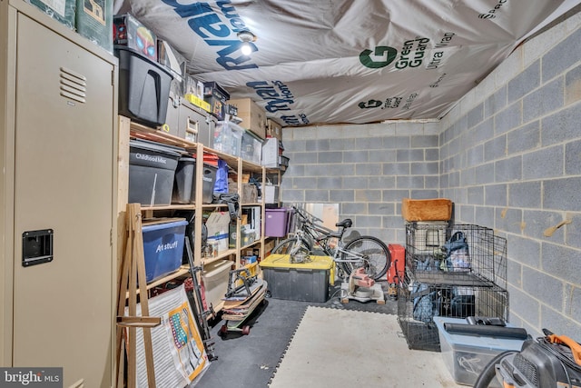 486 Round Up Rd, Lusby, MD 20657 - view of storage room