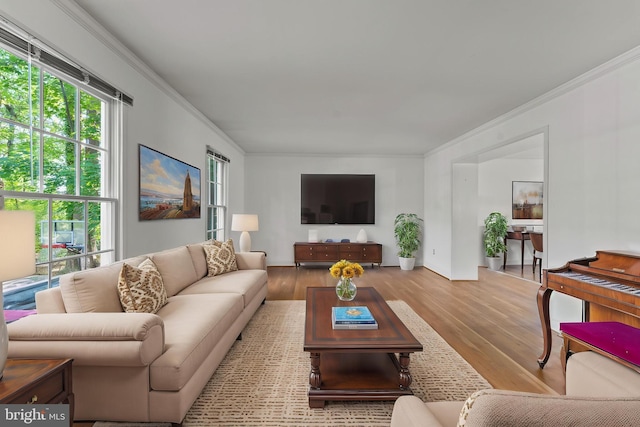 living area with crown molding and wood finished floors