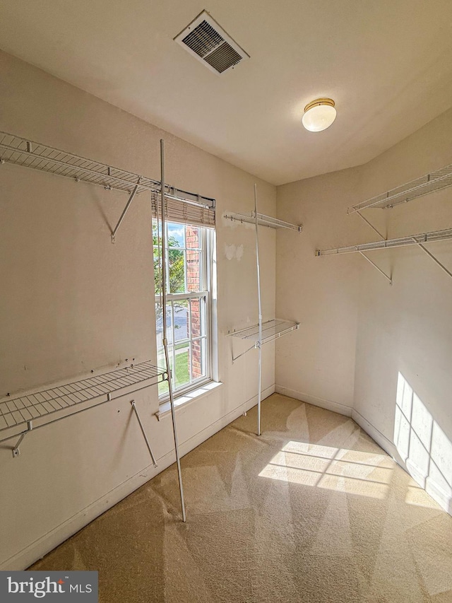 spacious closet featuring carpet and visible vents