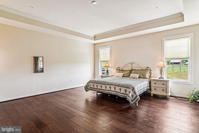 10809 Glowing Hearth Way, Monrovia, MD 21770 - bedroom with ornamental molding, hardwood / wood-style floors, a tray ceiling, and baseboards