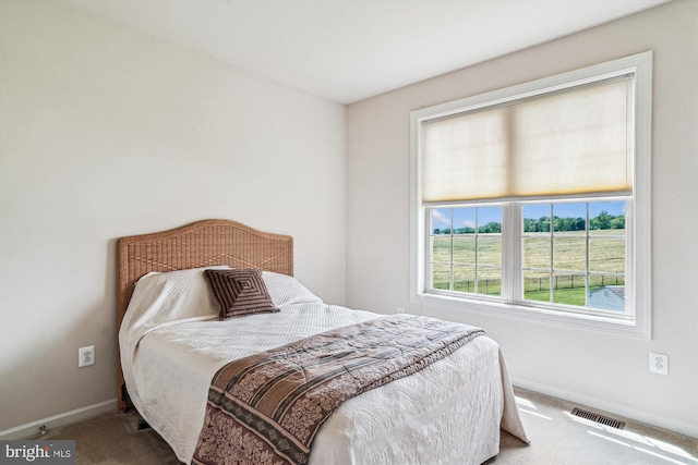 10809 Glowing Hearth Way, Monrovia, MD 21770 - bedroom featuring carpet and baseboards