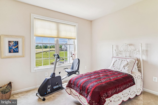 10809 Glowing Hearth Way, Monrovia, MD 21770 - bedroom with carpet flooring and baseboards