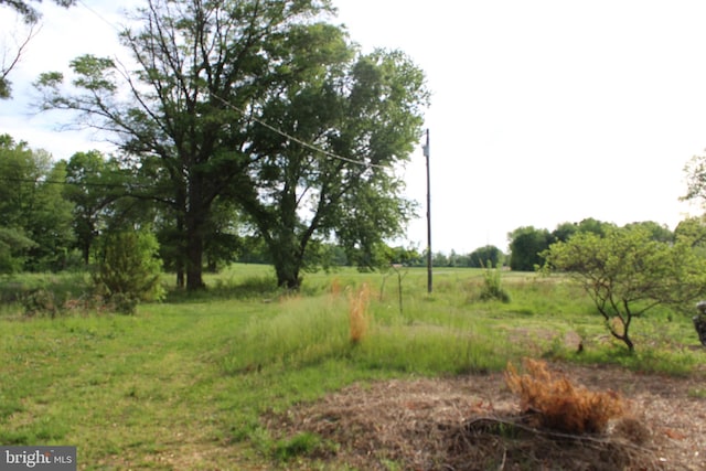 138 Robinson Rd, Salem, NJ 08079 - view of nature