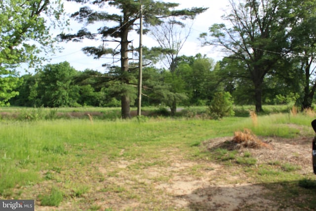 138 Robinson Rd, Salem, NJ 08079 - view of yard