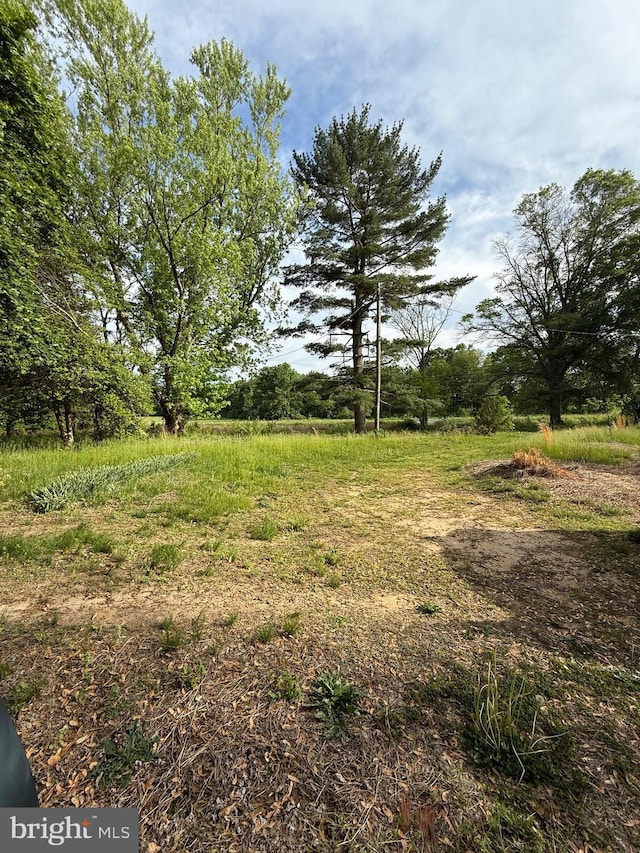 138 Robinson Rd, Salem, NJ 08079 - view of yard
