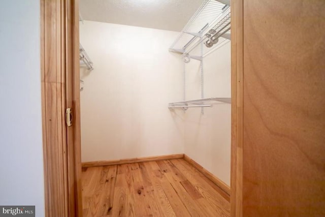 spacious closet with light wood finished floors