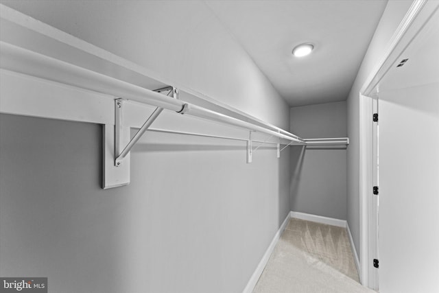 7606 Millrace Rd, Capitol Heights, MD 20743 - walk in closet with carpet floors