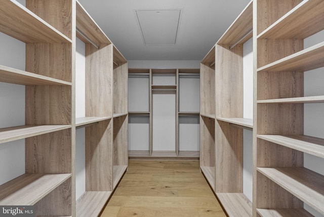 18 Haskel Dr, West Windsor, NJ 08550 - walk in closet featuring light wood-style flooring