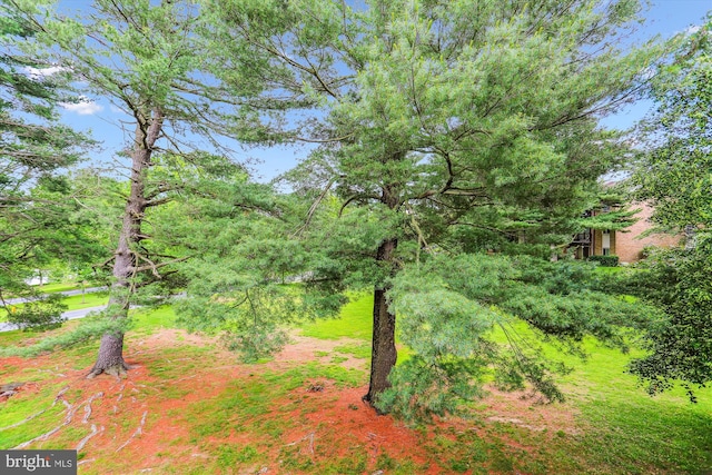 18707 Walkers Choice Rd Unit 6, Gaithersburg, MD 20886 - view of yard