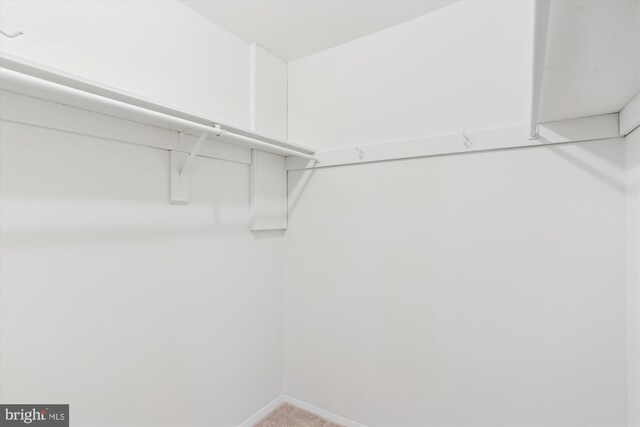 18707 Walkers Choice Rd Unit 6, Gaithersburg, MD 20886 - spacious closet with carpet flooring
