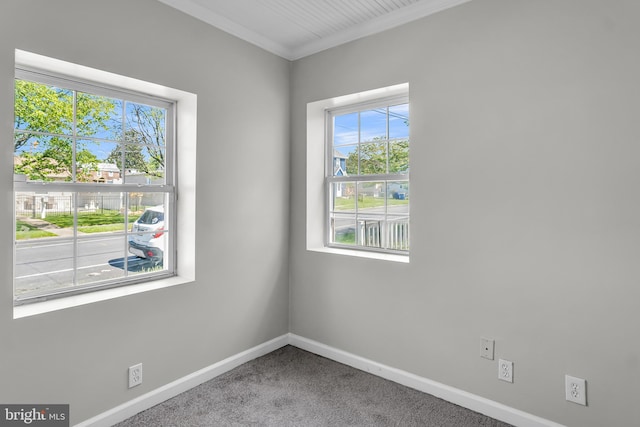 carpeted spare room featuring baseboards, healthy amount of natural light, and ornamental molding