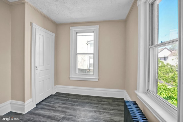 spare room with a textured ceiling, dark wood-style flooring, healthy amount of natural light, and baseboards