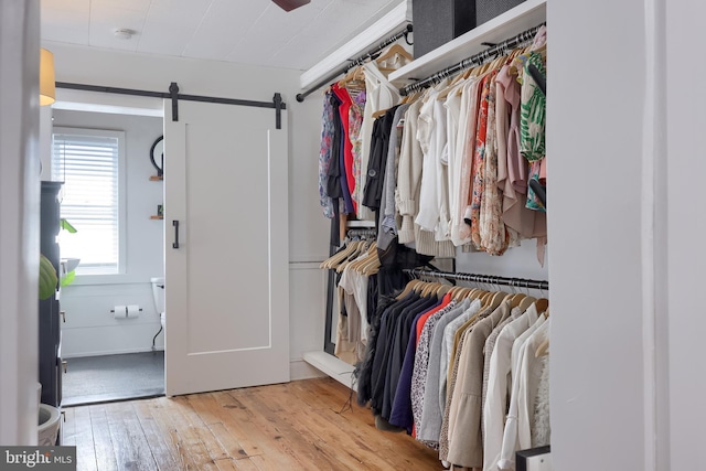 spacious closet featuring a barn door and light wood-style floors