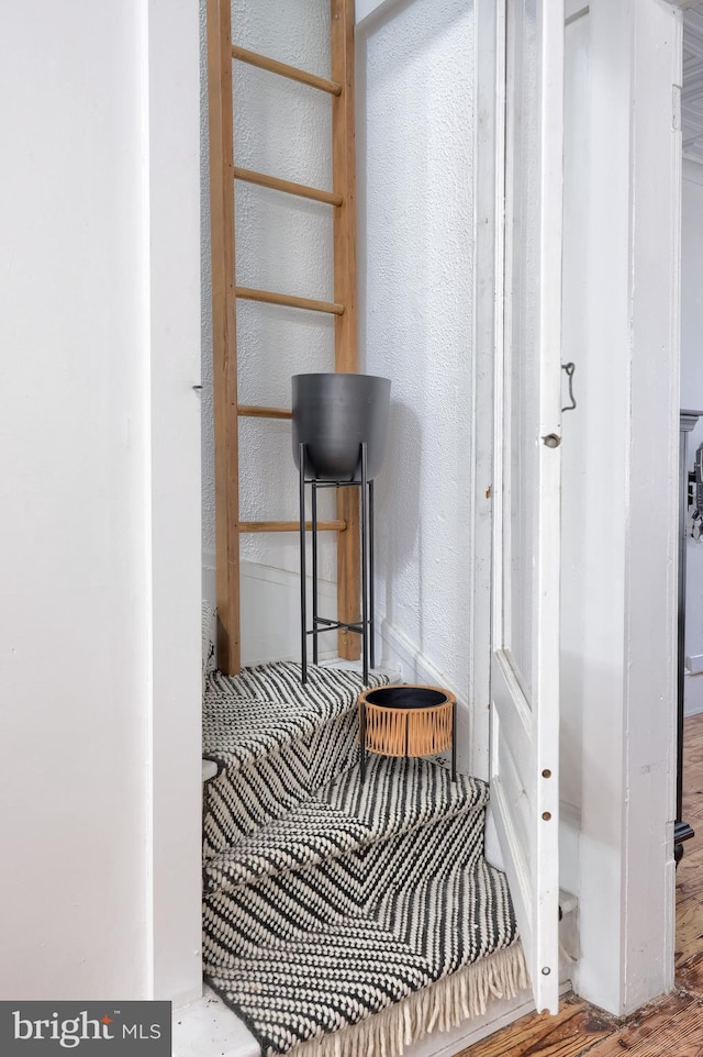 mudroom with wood finished floors and a textured wall