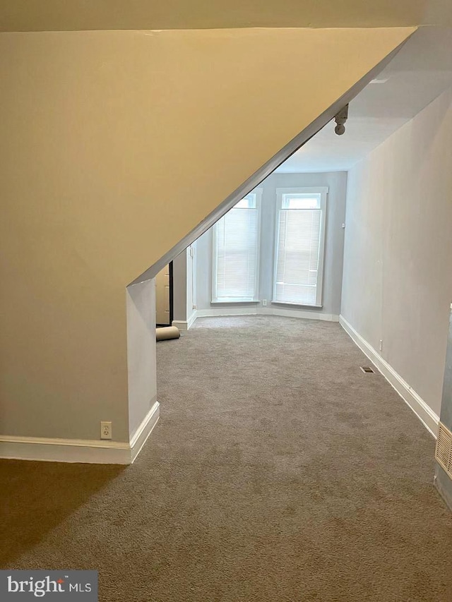 bonus room featuring baseboards and carpet floors