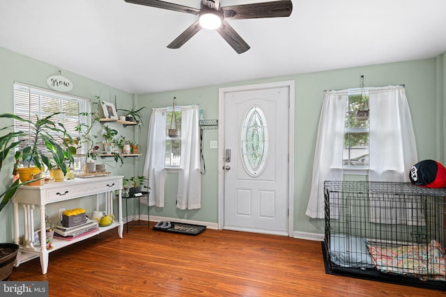foyer entrance with plenty of natural light, a ceiling fan, and wood finished floors