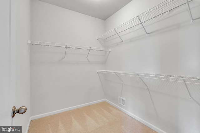 5992 Passend Dr, Frederick, MD 21703 - walk in closet with carpet