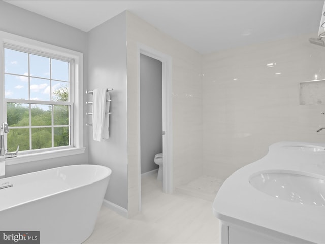 bathroom featuring a sink, a freestanding bath, toilet, and baseboards