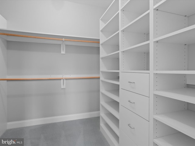 view of spacious closet