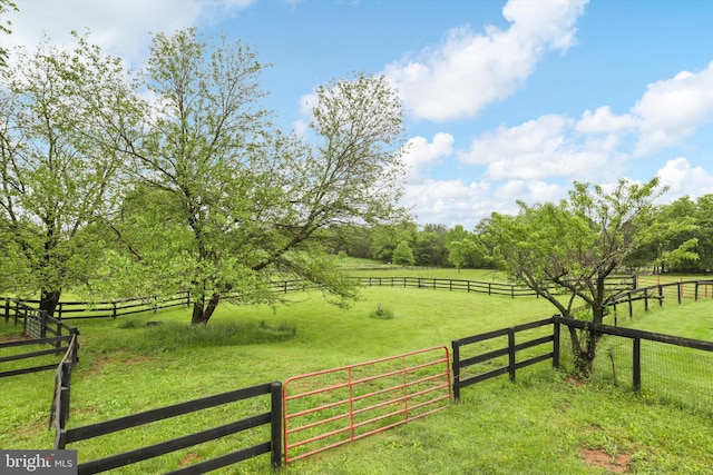 view of yard featuring a view of rural / pastoral area