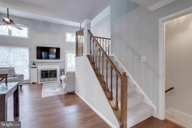 46919 Trumpet Cir, Sterling, VA 20164 - stairs featuring ceiling fan, wood finished floors, a fireplace, a towering ceiling, and baseboards