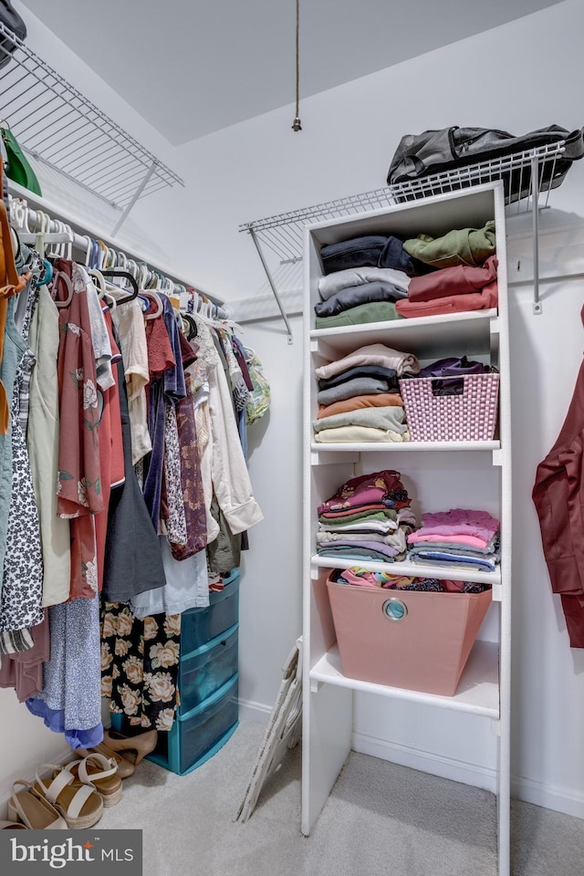 46919 Trumpet Cir, Sterling, VA 20164 - walk in closet with carpet flooring