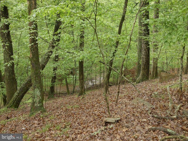 106 Monacan Trl, Hedgesville, WV 25427 - view of woods