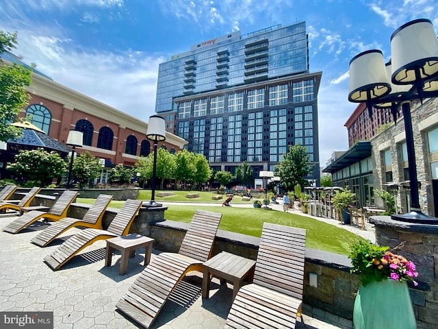 11710 Old Georgetown Rd Unit 1504, North Bethesda, MD 20852 - view of property's community