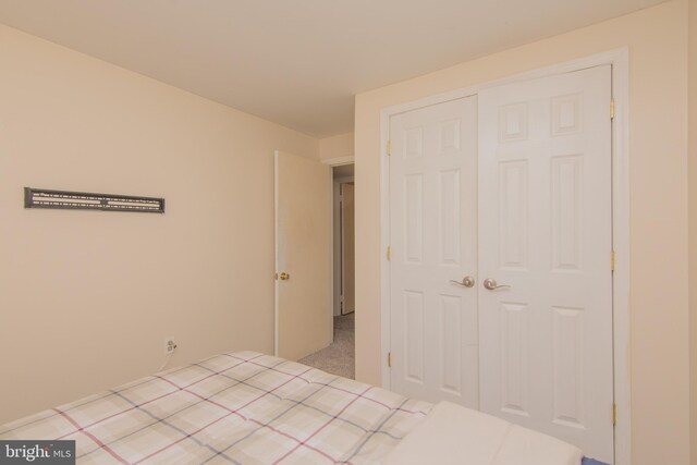 5941 Plumwood Ln, Woodbridge, VA 22193 - unfurnished bedroom with carpet floors
