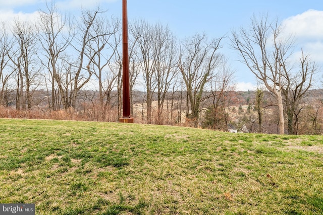 171 Timothy Cir, Wayne, PA 19087 - view of grassy yard