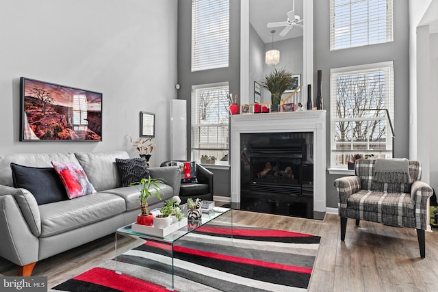 171 Timothy Cir, Wayne, PA 19087 - living area featuring a towering ceiling, wood finished floors, a fireplace with flush hearth, plenty of natural light, and a ceiling fan