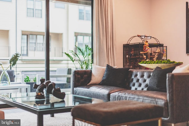 living area featuring healthy amount of natural light