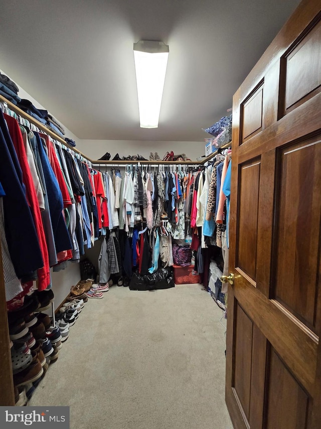 105 Woodview Dr, Harrington, DE 19952 - walk in closet with carpet floors
