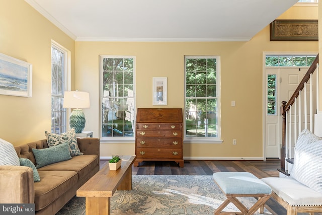 living area with dark wood-style floors, baseboards, healthy amount of natural light, crown molding, and stairs