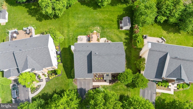 bird's eye view