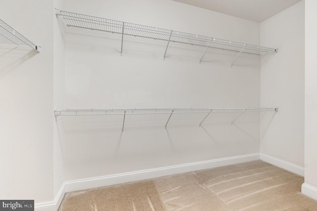 1427 Chanery Ct, Odenton, MD 21113 - walk in closet with carpet
