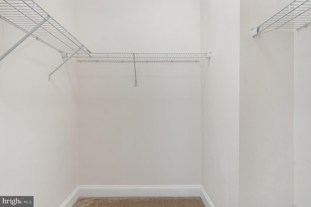 1427 Chanery Ct, Odenton, MD 21113 - spacious closet with carpet