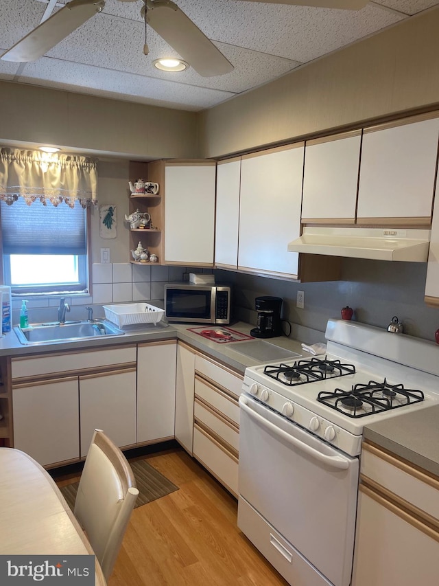 kitchen featuring gas range gas stove, under cabinet range hood, stainless steel microwave, a sink, and light wood-style floors