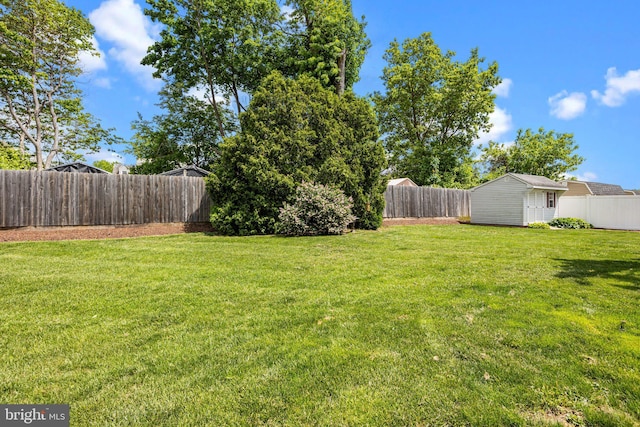 view of yard featuring an outdoor structure and a shed