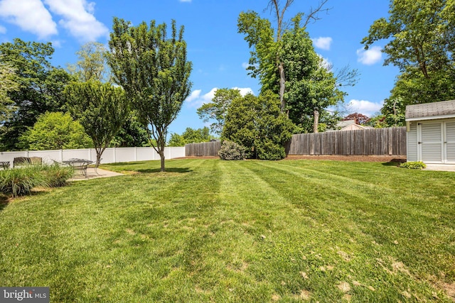 view of yard