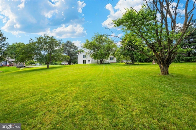 4211 Springview, Jefferson, MD 21755 - view of grassy yard