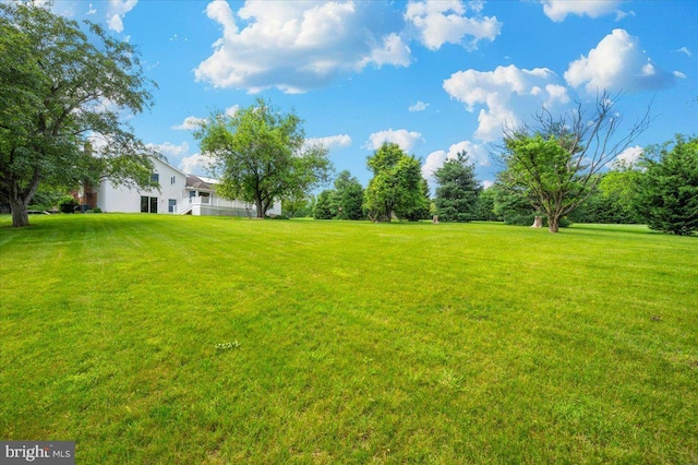 4211 Springview, Jefferson, MD 21755 - view of grassy yard