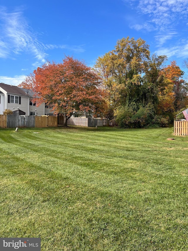 view of yard