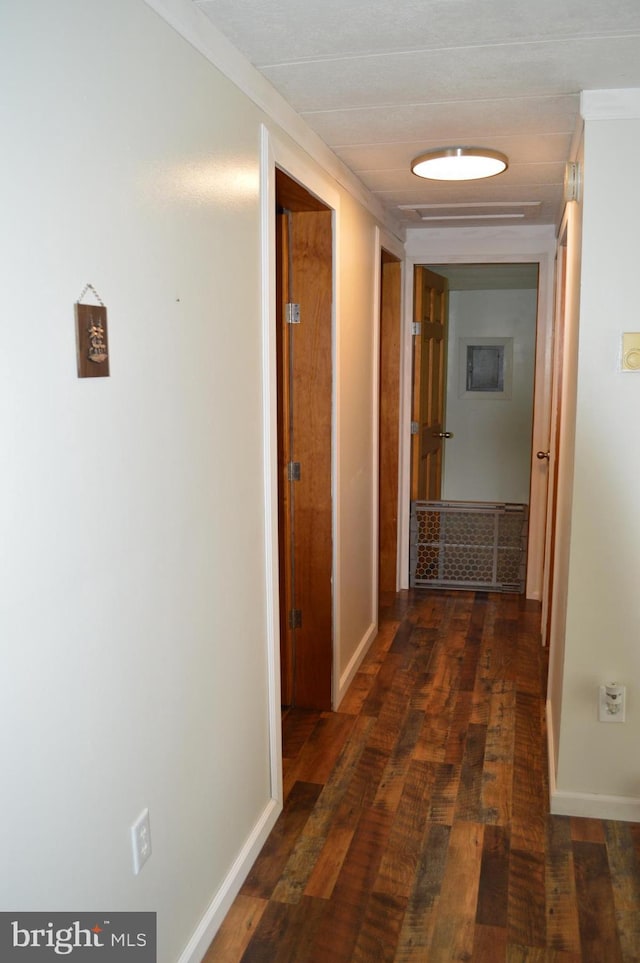 hall with hardwood / wood-style floors, ornamental molding, and baseboards