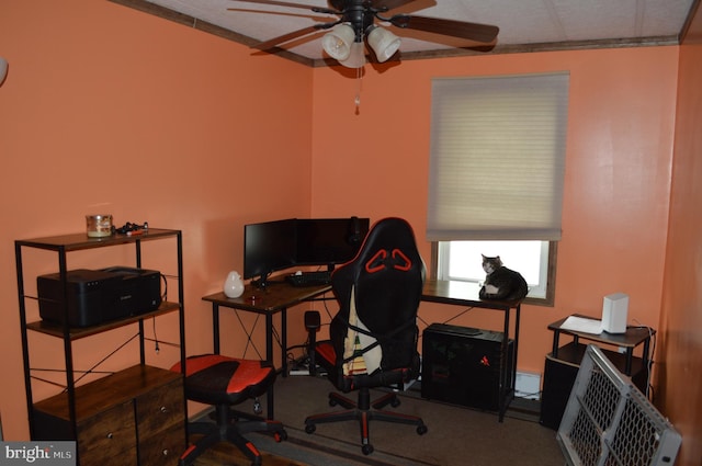 home office with ceiling fan and carpet