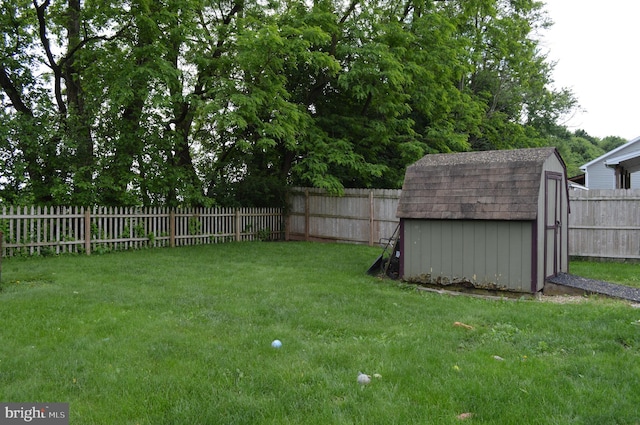 view of yard featuring a storage shed and an outdoor structure