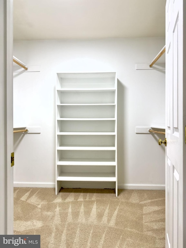 walk in closet with carpet flooring